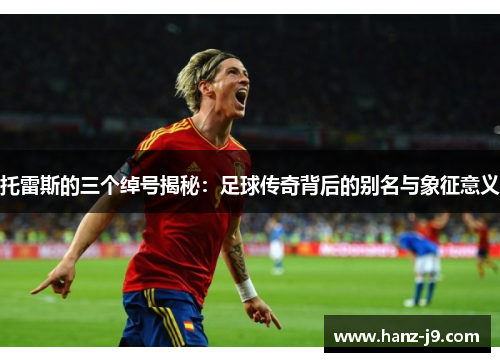 托雷斯的三个绰号揭秘：足球传奇背后的别名与象征意义
